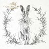 zające z roślinnymi wieńcami*hares with floral wreaths*Hasen mit Blumenkränzen*liebres con coronas de flores